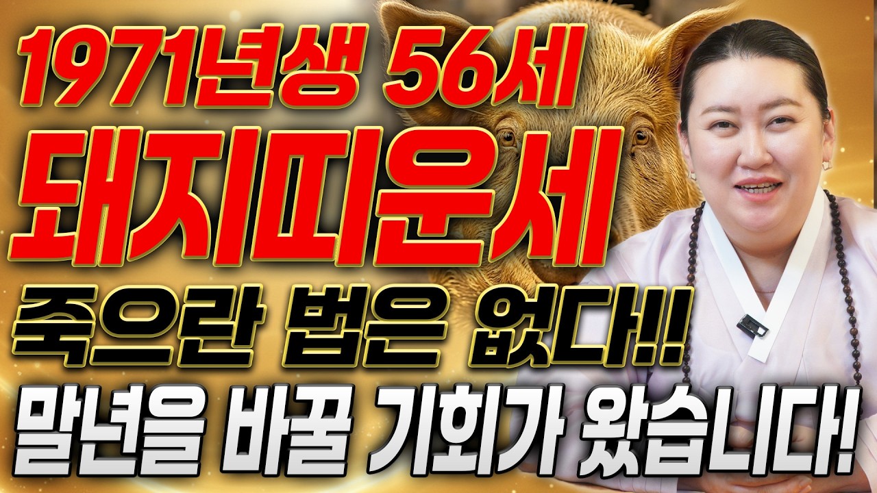 🌟2026년 1971년생 56세 돼지띠운세🌟 71년생 돼지띠는 X월 무조건 초대박납니다! 말년에 수백억 돈벼락 맞고 인생 역전하는 71년생 56세 돼지띠의 운명과 평생운세!