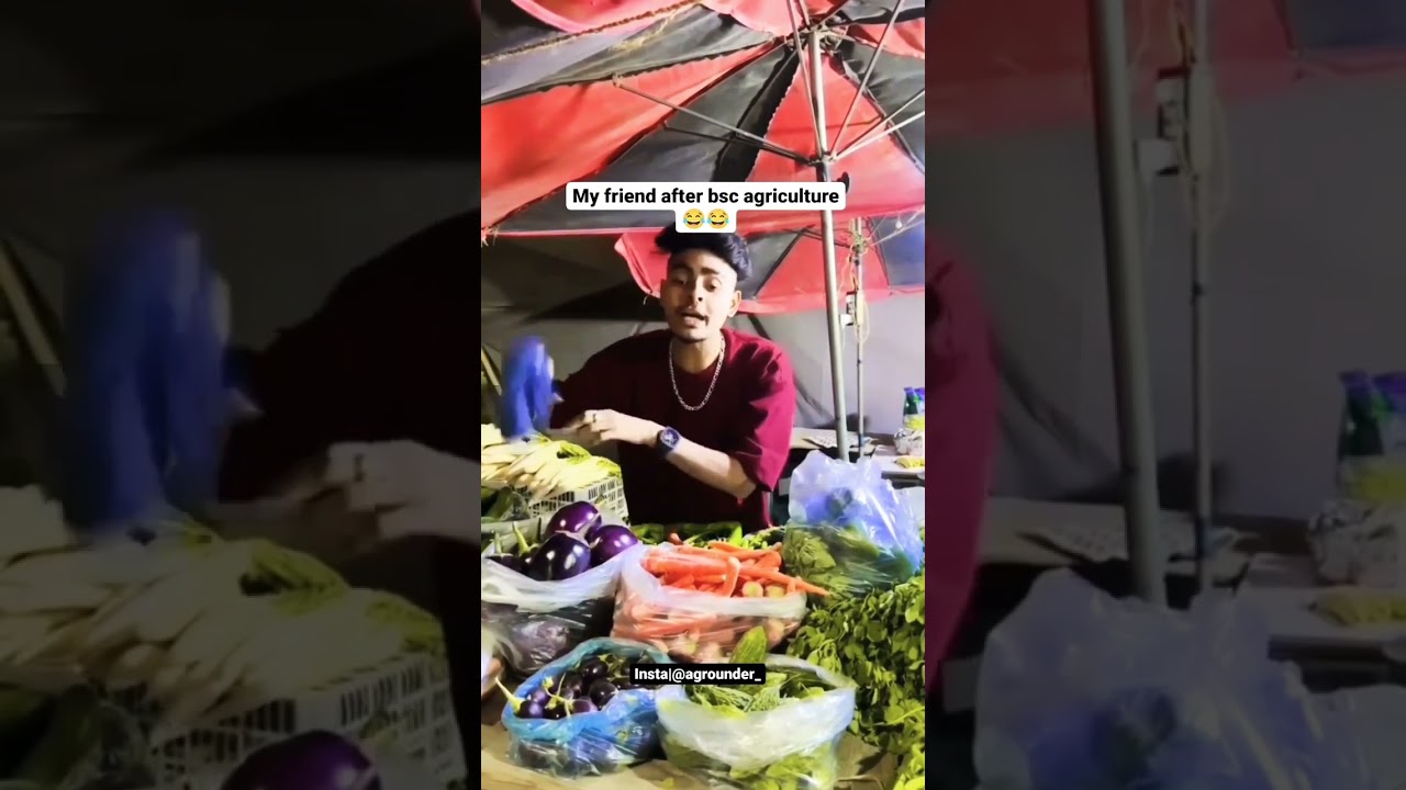 what people think about agriculture student vs reality ❤️ #agriculture #agriculturelife #indian