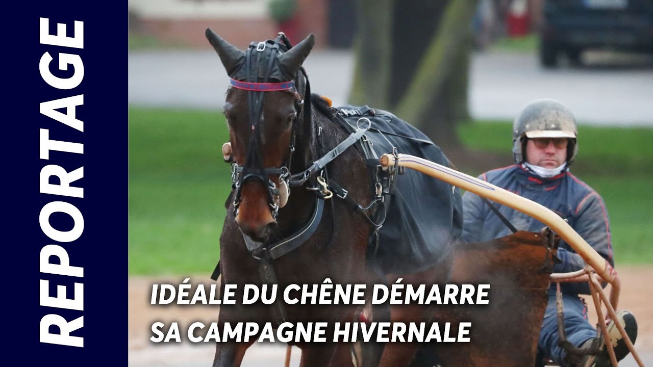 IDEALE DU CHENE, DE RETOUR DANS LE TEMPLE DU TROT