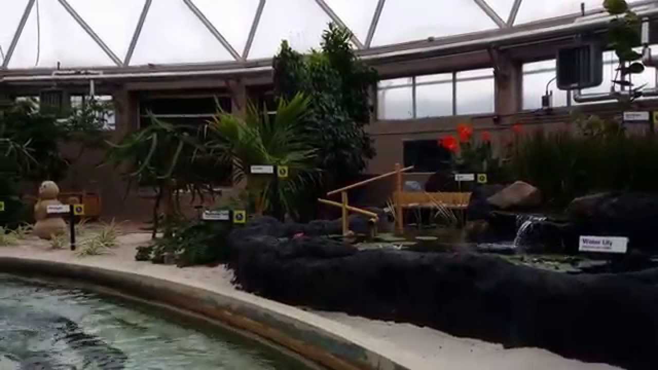 Epcot Center 