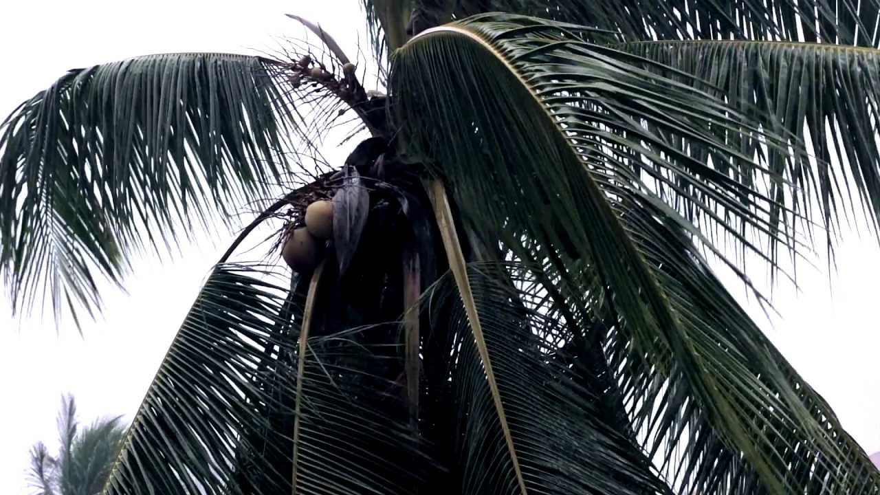 Tuol Sleng - A Cambodian Horror