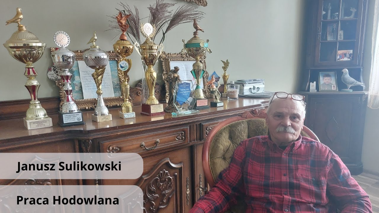 Janusz Sulikowski | Początki pracy Hodowlanej | podsumowanie sezonu 2023 | ponad 40lat doświadczenia