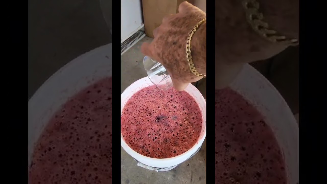 Ajuste del ph y la densidad en un mosto de moras y flor de jamaica, para una fermentación saludable.