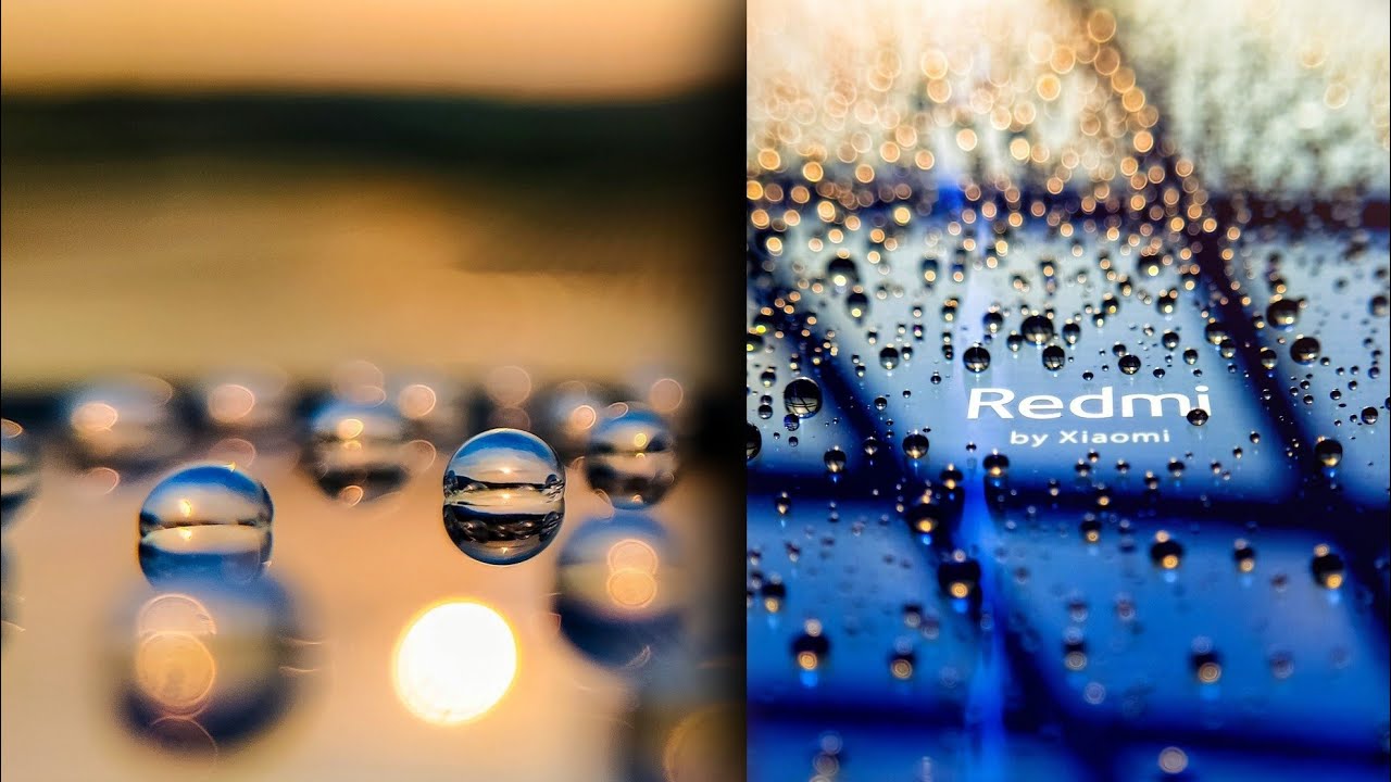 7 Macro Photography Ideas During Quarantine Period #macro #visual_outcomes