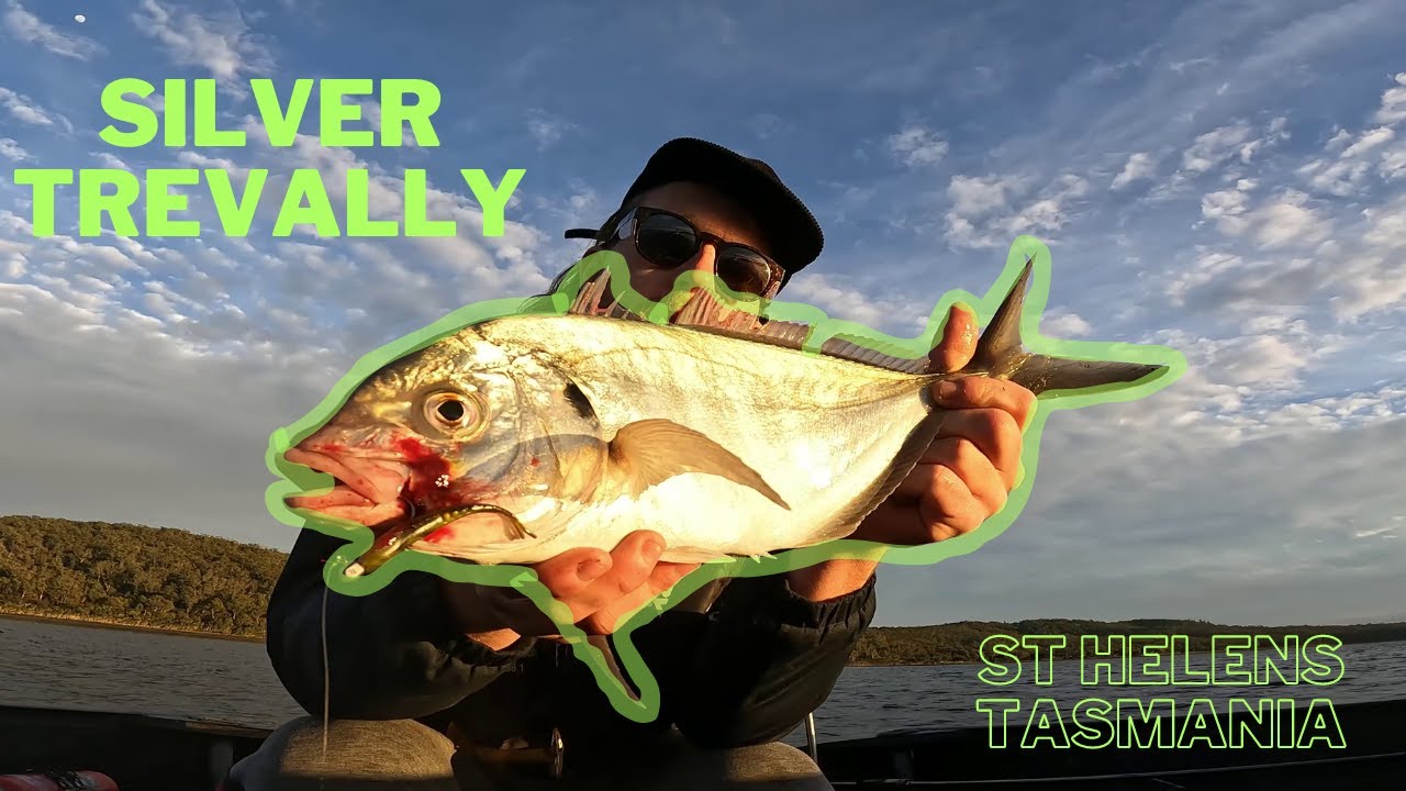 ST HELENS TASMANIA Silver Trevally on Soft Plastics