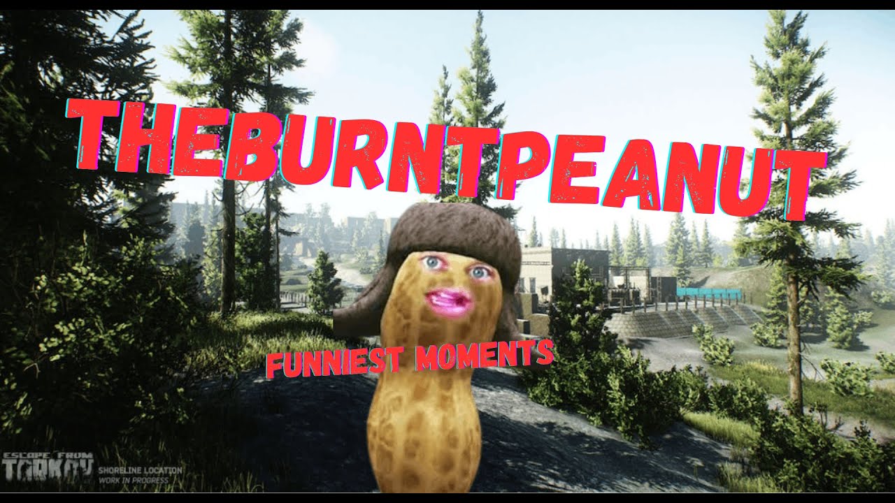 Самые смешные моменты Tarkov от Theburntpeanut!!