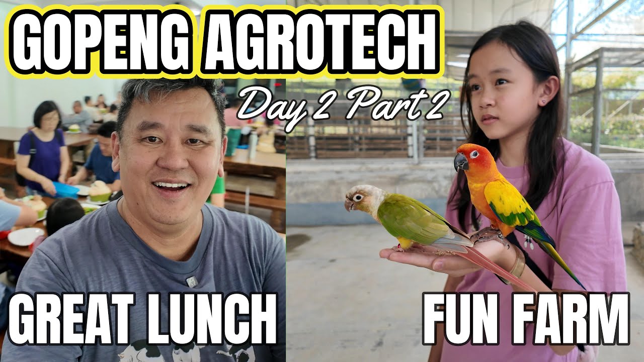 Penang to Gopeng Day 2 Part 2 Agrotech Farm Visit and Lunch kids love the petting zoo, amazing food!