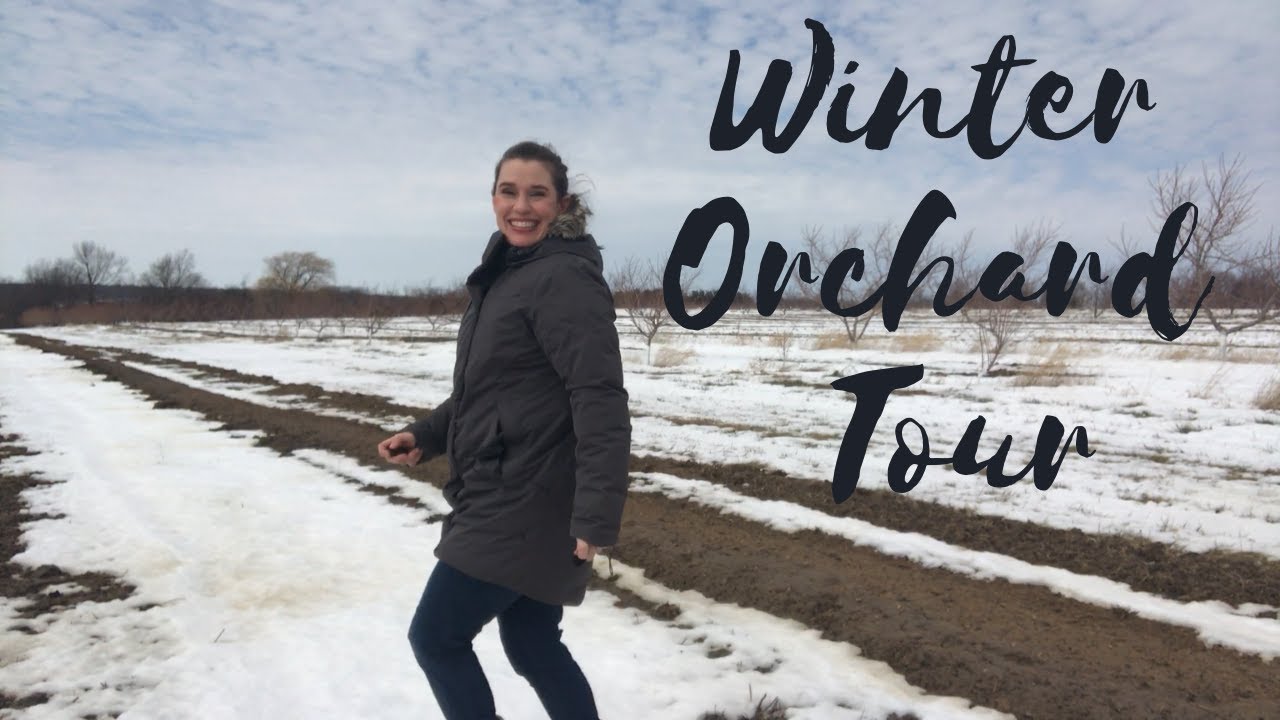 Winter Orchard Tour