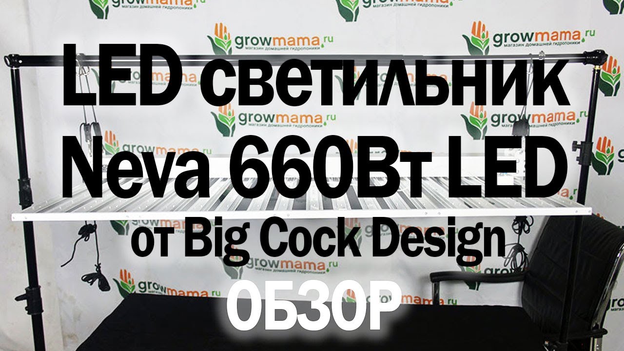 12. Обзор светильника LED Neva 660 Вт от Big Cock Design в Growmama