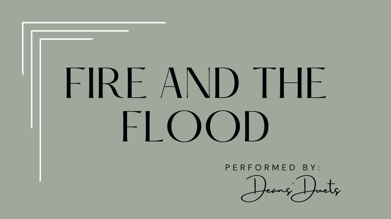 Fire and the Flood (Vance Joy) - violin / cello duet cover