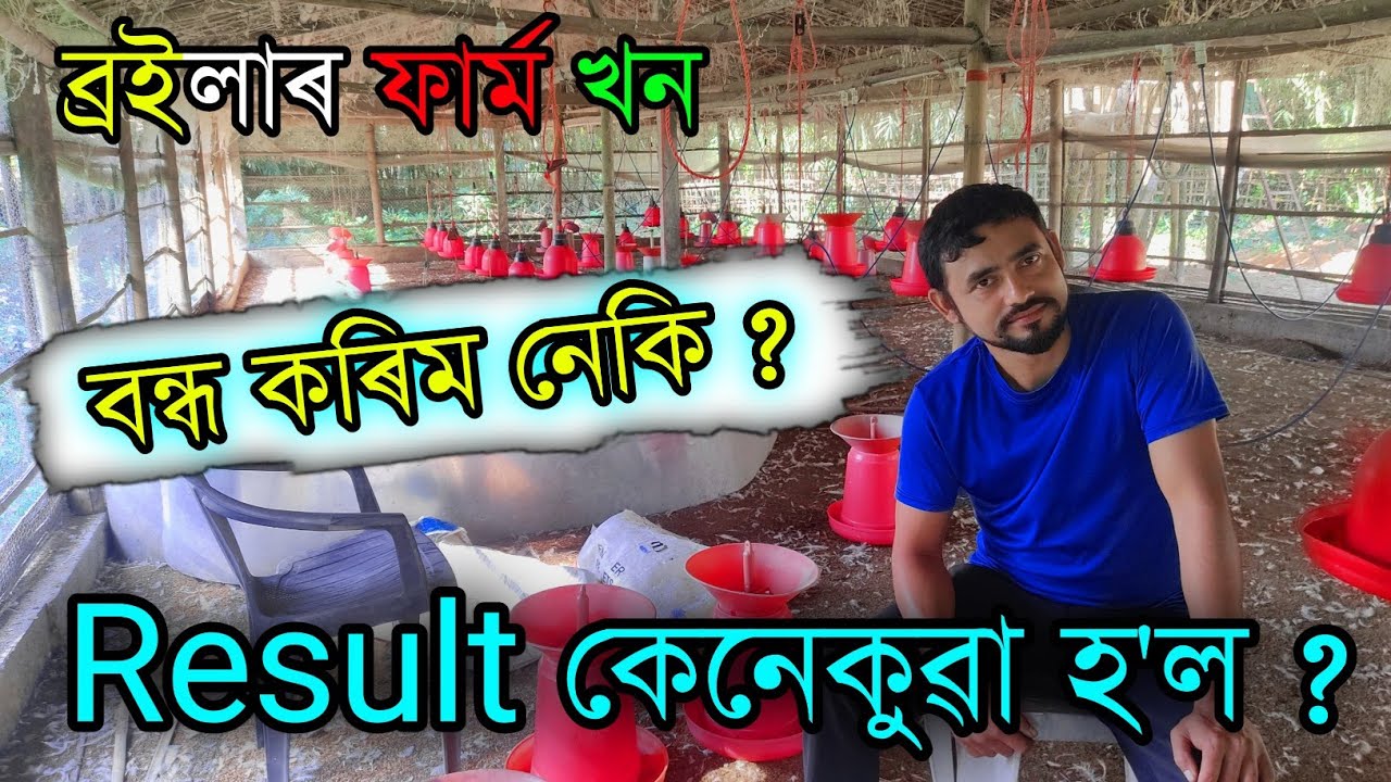 ব্ৰইলাৰ ফাৰ্মৰ result কেনেকুৱা হ'ল ? কি হব এতিয়া ?