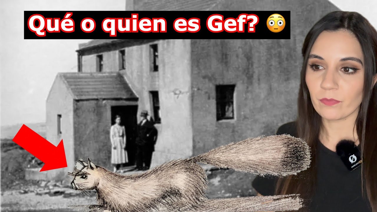 GEF: el poltergeist, animal parlante, ser interdimensional, espíritu atrapado, alma vieja... 😳