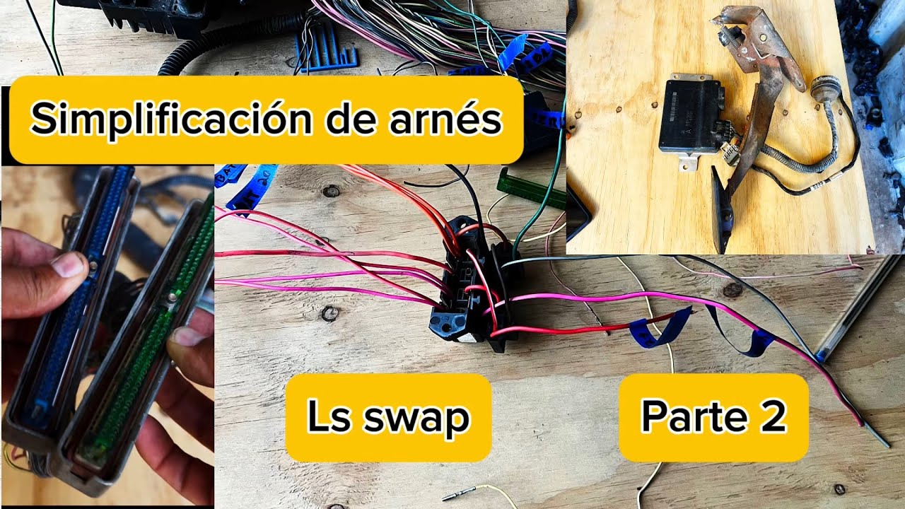Simplificación de arnés para Motor LS Conector azul y verde parte 2#lsswap #pinout #electronica 