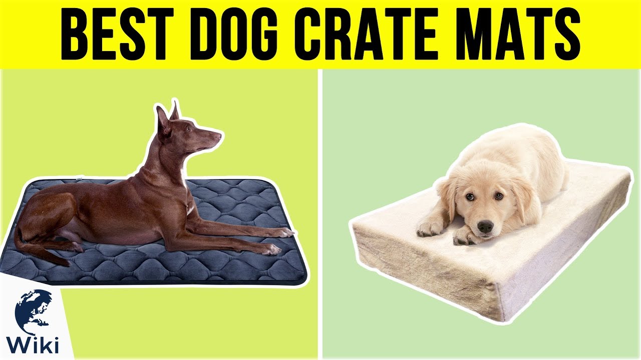 10 Best Dog Crate Mats 2019