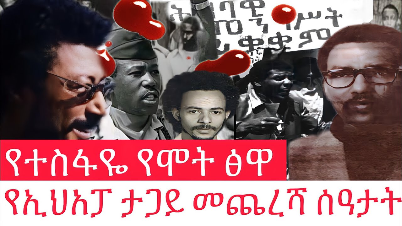 የተስፋዬ የሞት ፅዋ // የኢህአፓ ታጋይ መጨረሻ ሰአታት