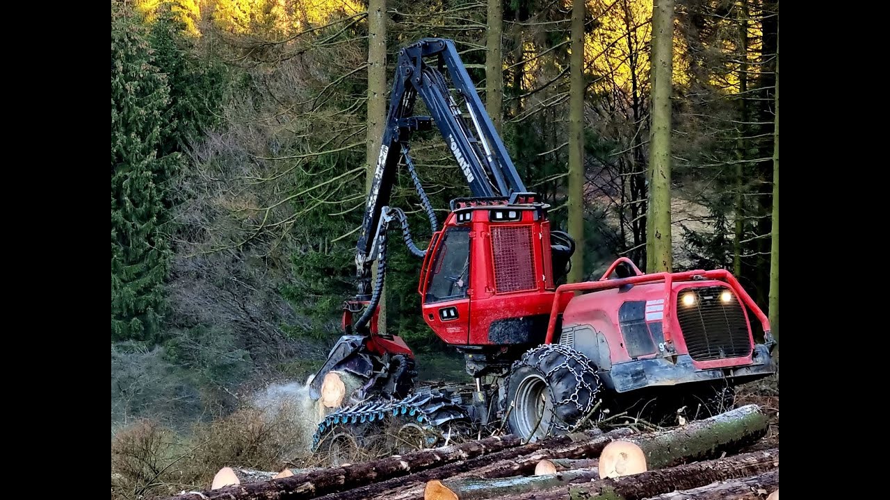 🌲Komatsu 931 *in big trees* • Harvester im Einsatz • Forstbetrieb D. Wiese • Part-1🌲
