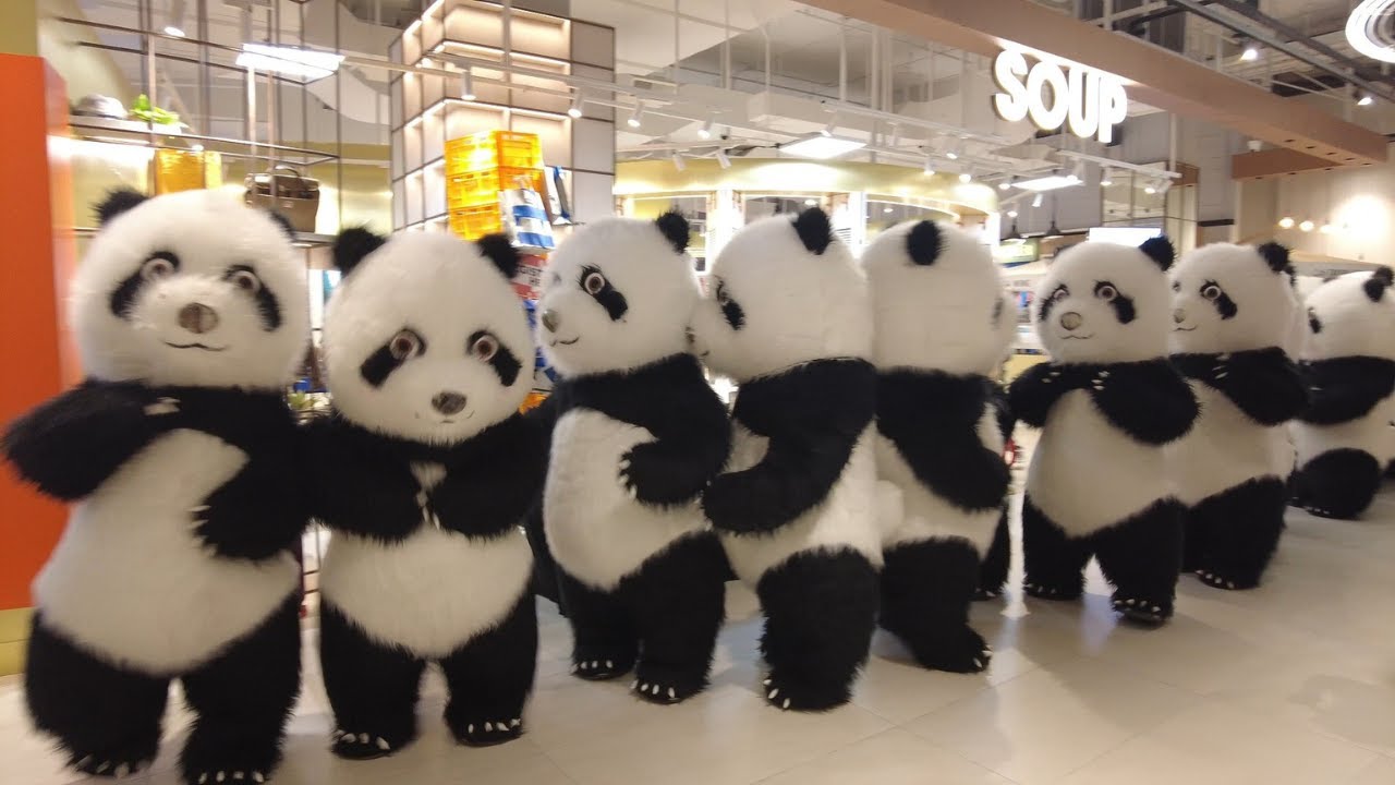【4K THAILAND】25 Pandas, 1 Epic Performance–Don’t Miss This Spectacle
