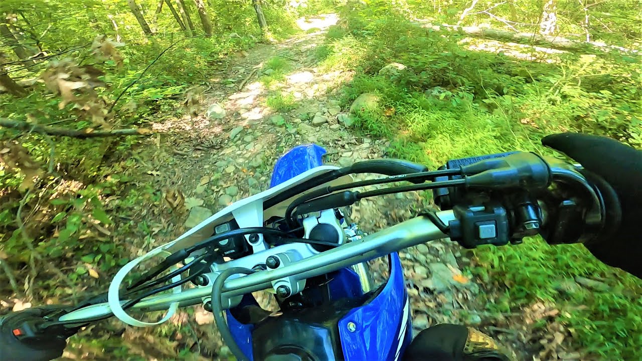 Yamaha TTR 230 Shredding it!