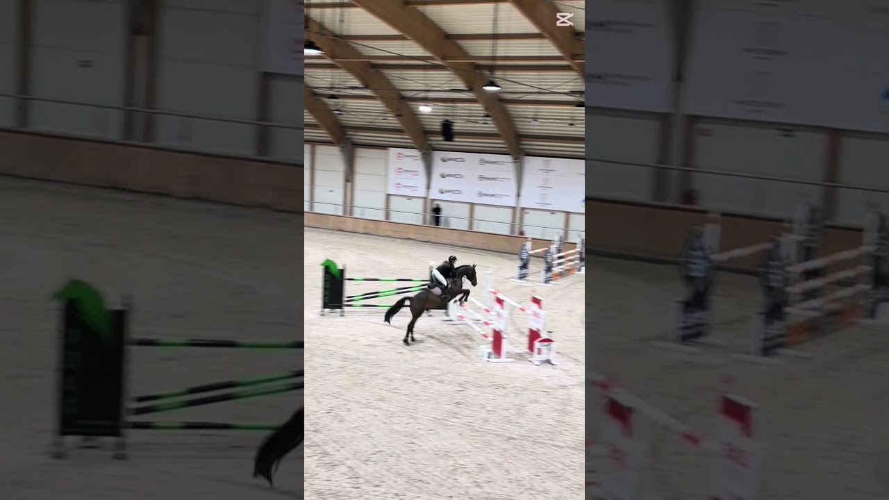 140😻jutro stajnia z @Kc.Rumbulek o 14 i pr&oacute;bna jazda!😍🌺 #dc #horse