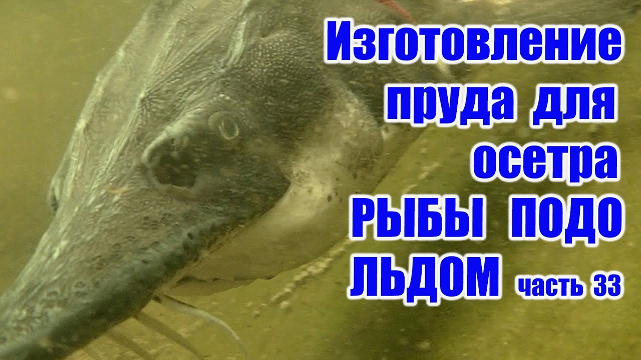 Изготовление пруда для осетра РЫБА ПОДО ЛЬДОМ(часть 33)