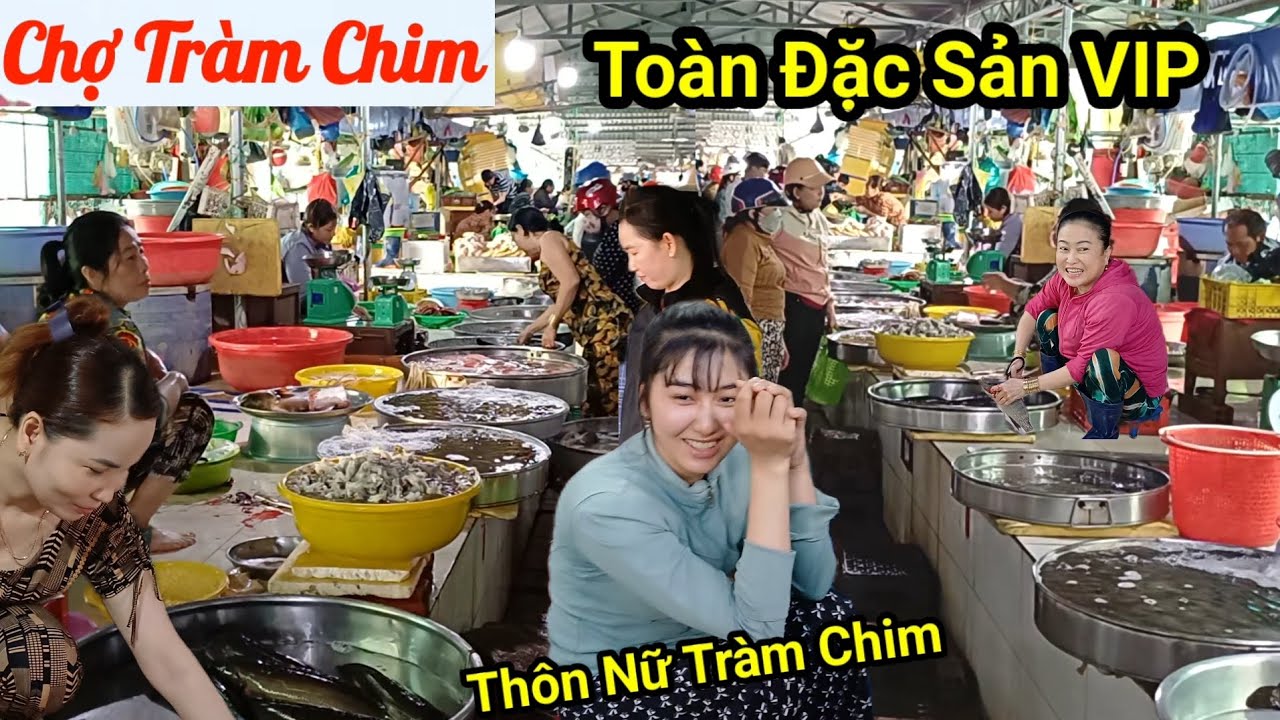 Chim, Chuột, Rắn, cá đồng bao la Chợ Tam Nông - Đồng Tháp, toàn là Đặc Sản Thiên Nhiên 