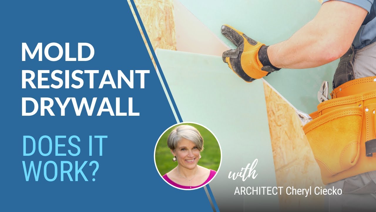 Does Mold Resistant Drywall Work? EPISODE 11