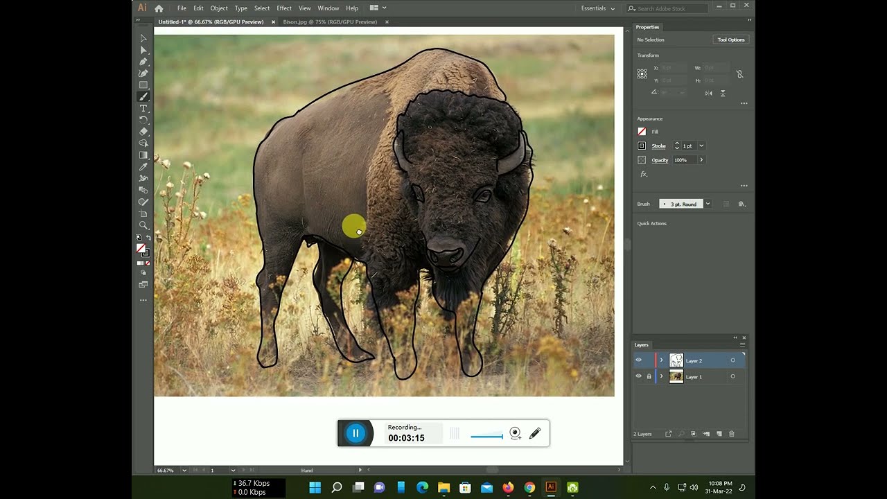 How to make Bison line art with Illustrator