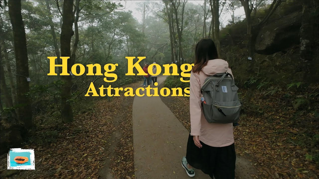 Hong Kong Vlog | DJI Osmo action 4 | Big Buddha | Ngong Ping 360 | Wisdom Path | Lantau Island