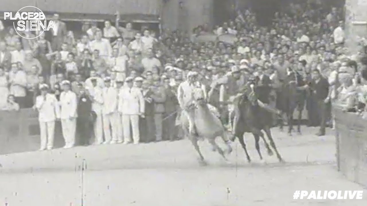 Il Palio nella Storia: Agosto 1966