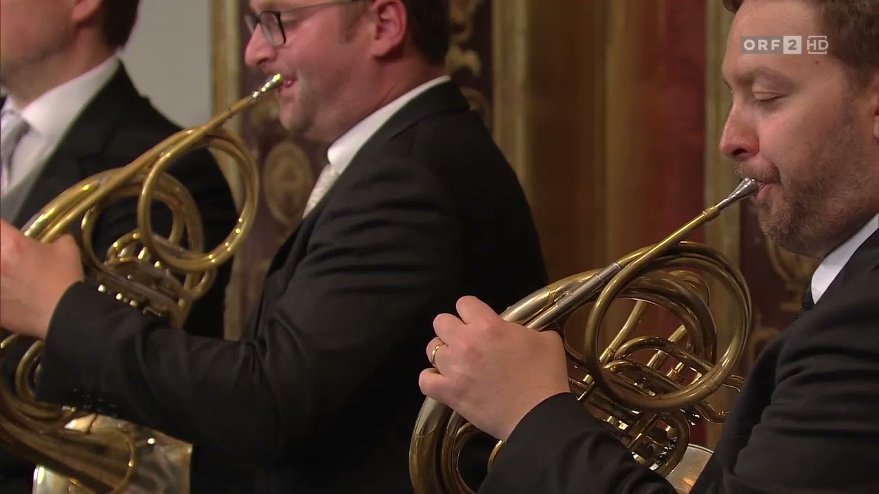Beethoven Symphony No 5 in C minor Op 67 &bdquo;Fate&ldquo; &bdquo;Schicksalssinfonie&ldquo; Daniel Barenboim Wiener Philhar