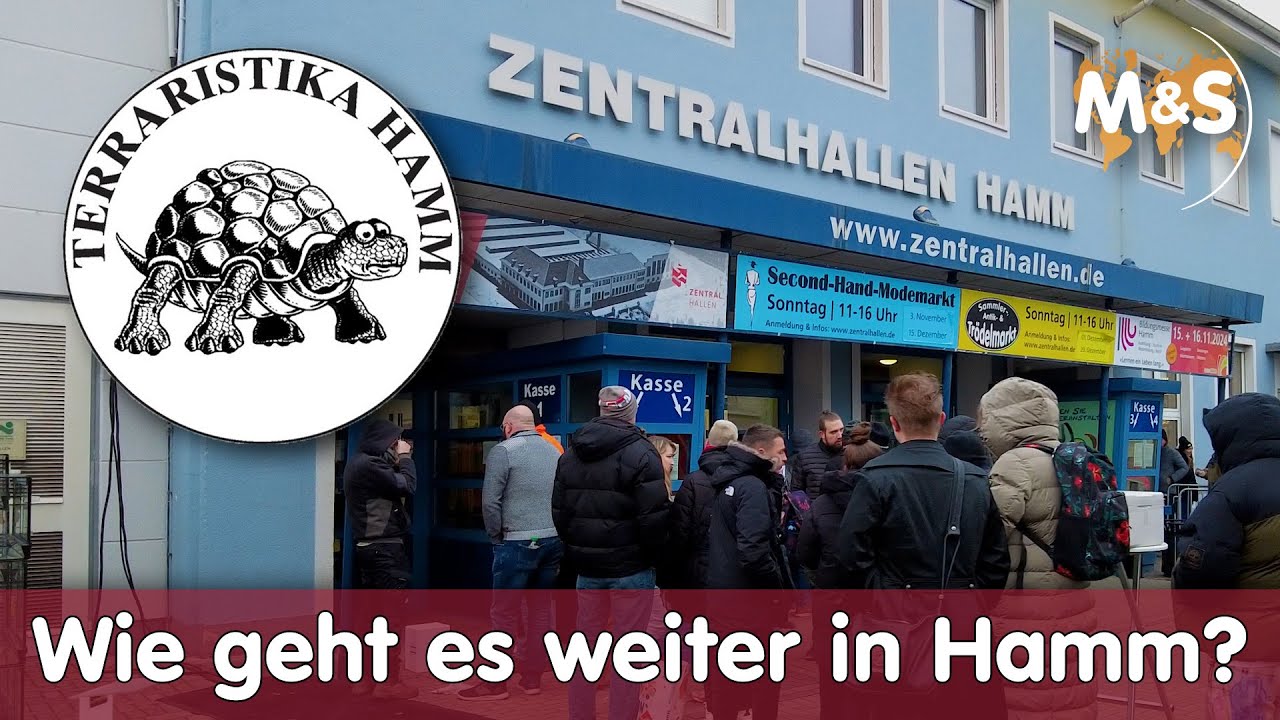 Terraristika Hamm, war es die letzte Börse?