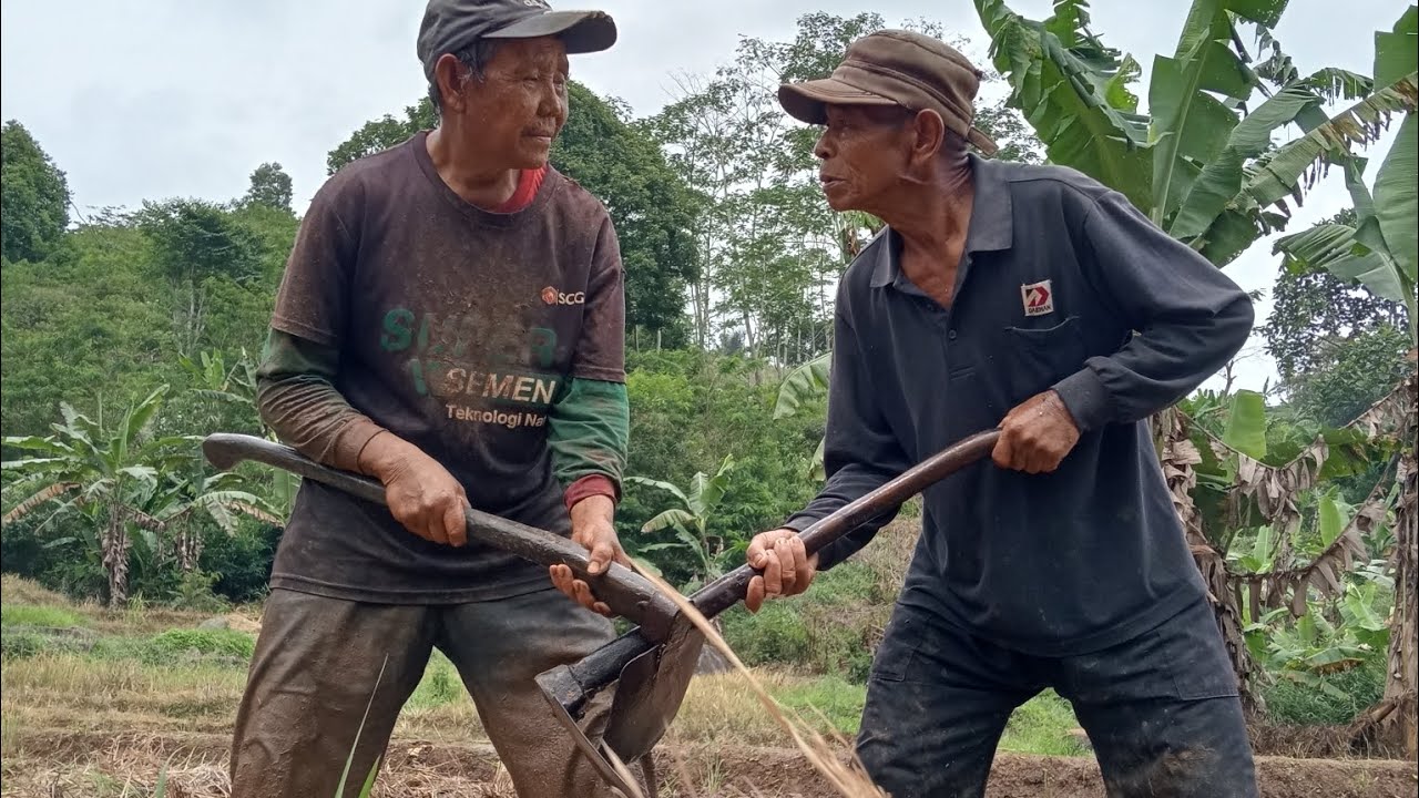 GARA GARA KERJA TELAT DATANG VIRAL 