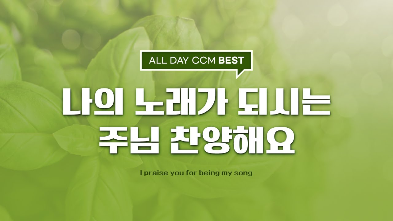 [ALL DAY CCM BEST] 나의 노래가 되시는 주님 찬양해요 (I praise you for being my song)