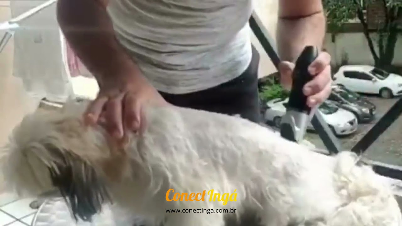 M&aacute;quina de Tosa Profissional