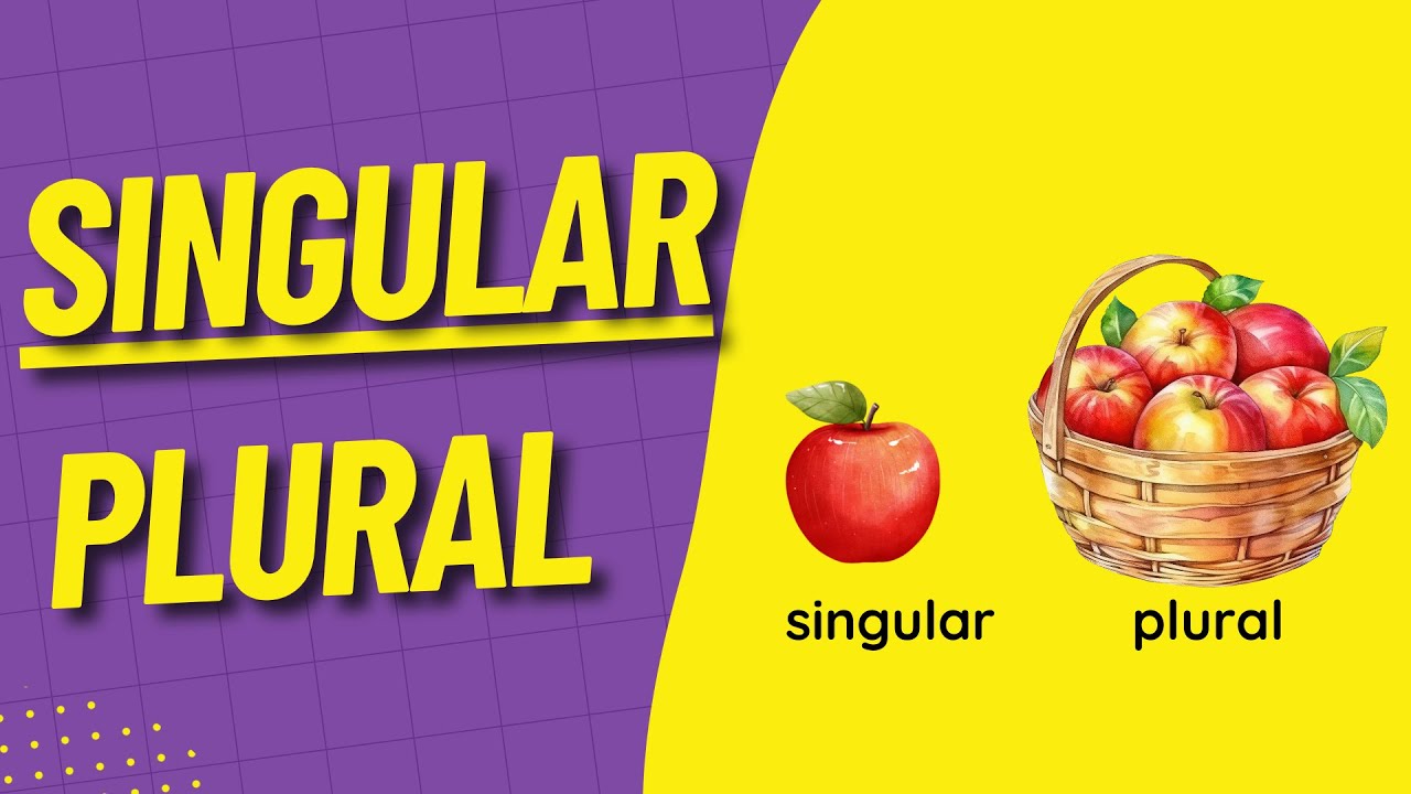 İNGİLİZCE TEKİL - &Ccedil;OĞUL KONU ANLATIMI | SINGULAR AND PLURAL NOUNS | - s, es, and ies