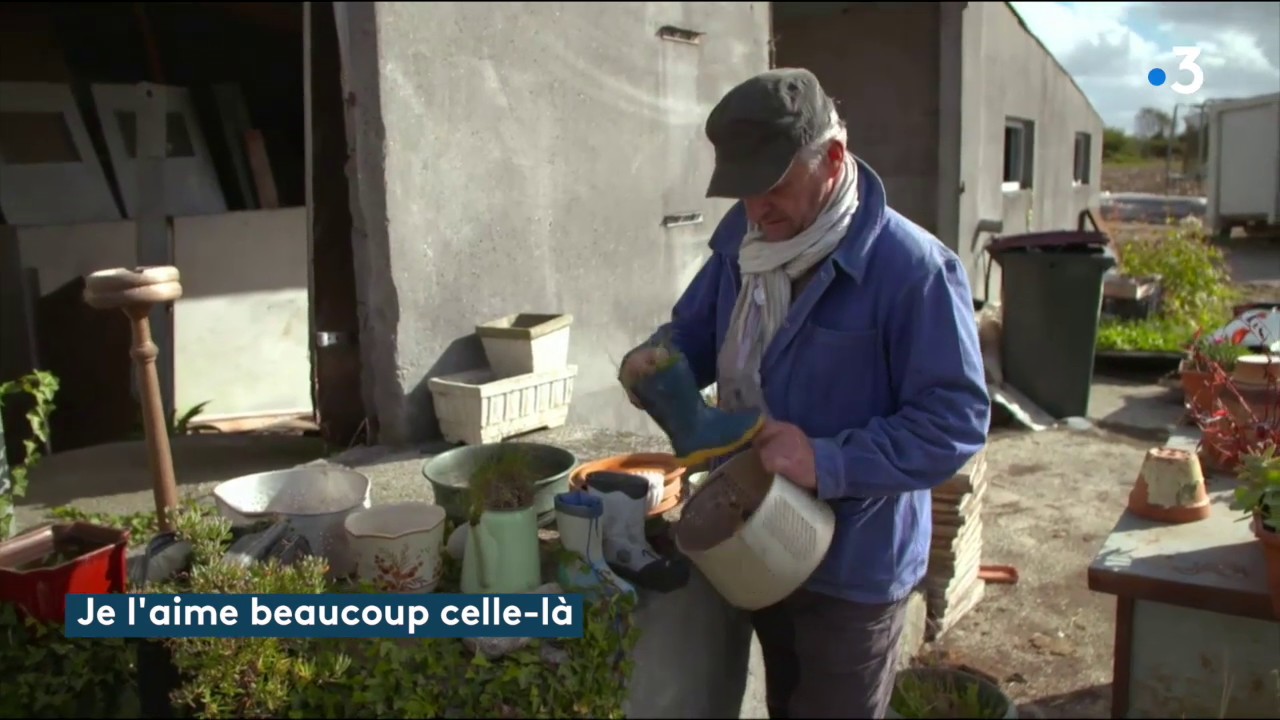Extrait du documentaire La vie en Bleus