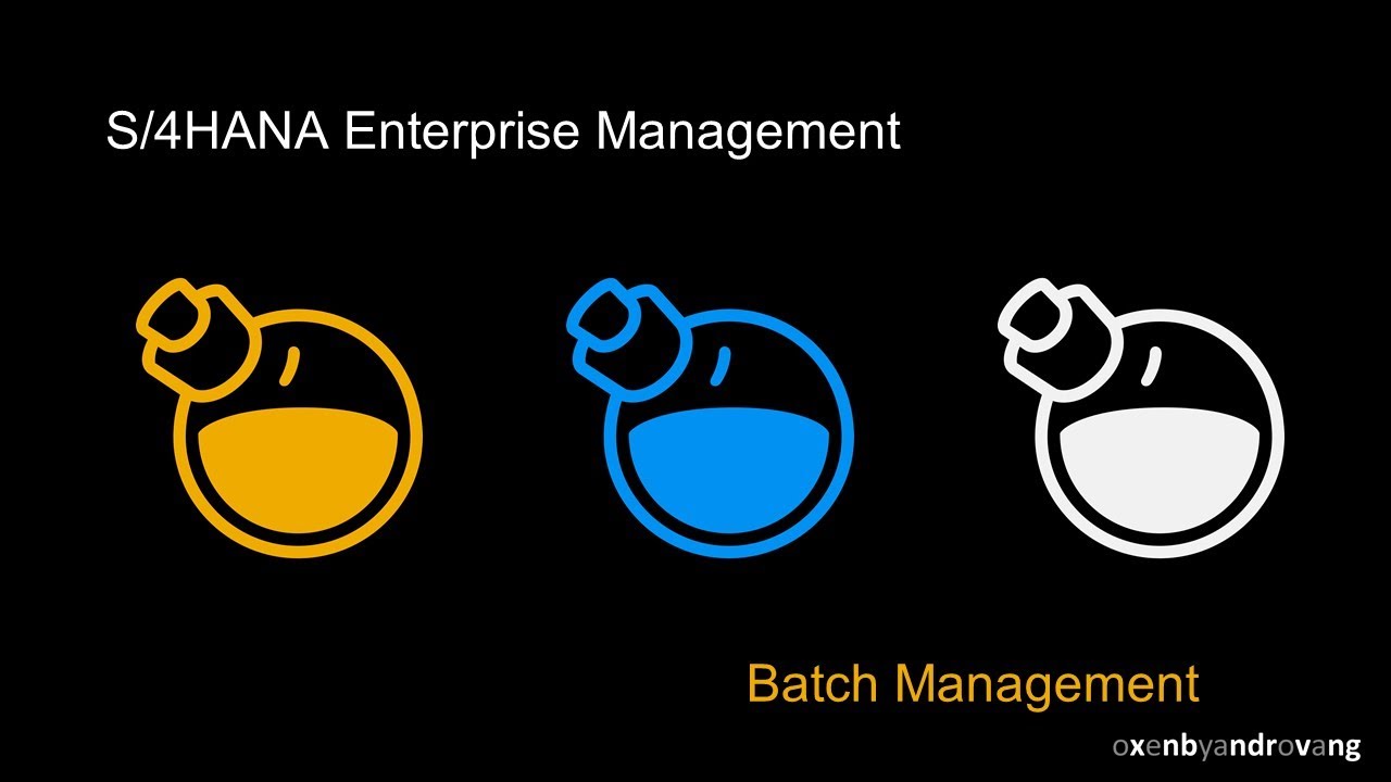 SAP S/4HANA Batch Management
