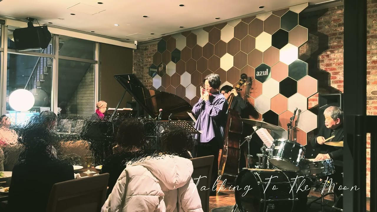 【LIVE】 Talking to the Moon 【Chromatic Harmonica】