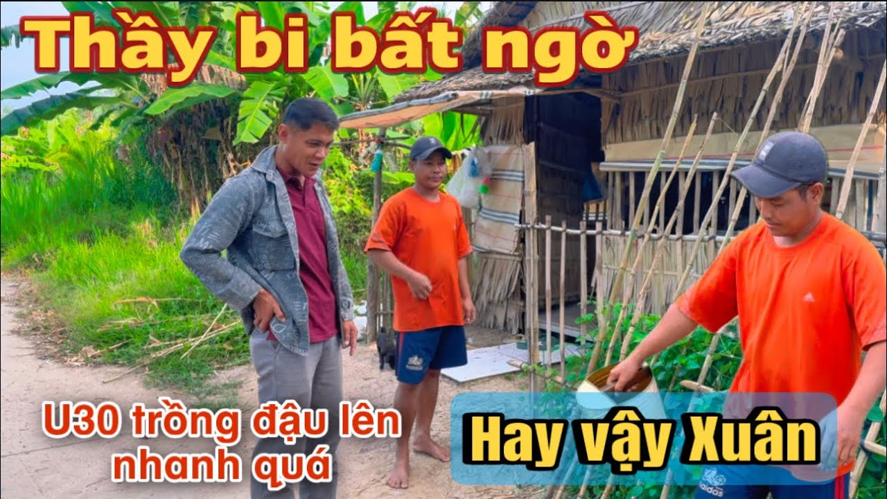 Quá bất ngờ U30 khiến thầy trầm trồ khen vì trồng dàn đậu mọc quá nhanh #u30 