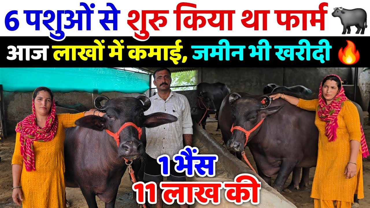 6 पशुओं से शुरू किया था डेयरी फार्म | आज लाखों में है कमाई, जमीन भी खरीदी | Dairy Farm Business Plan
