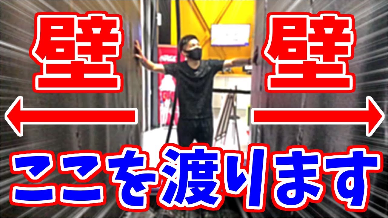 【実写動画】『壁を這って渡るIs』と『落ちるはたさこ』(ﾉω`)