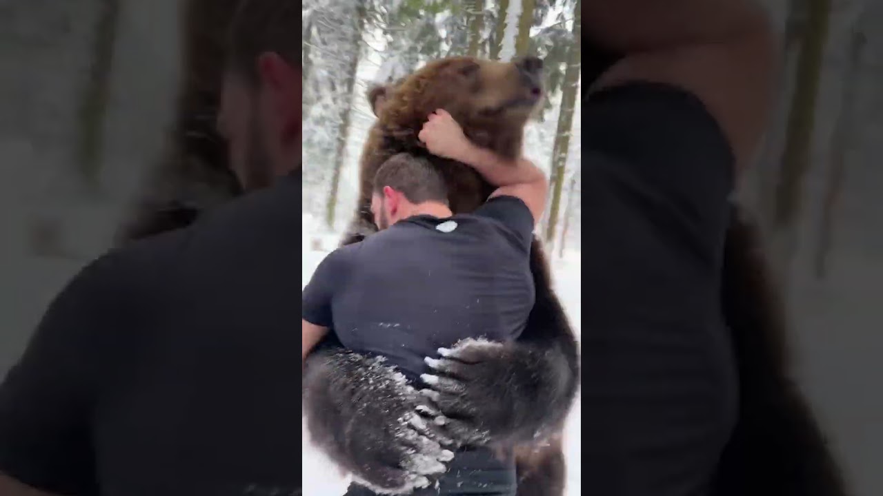 MMA Fighter vs Bear in Russia