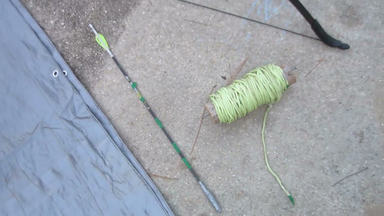 Tree Work Shooting Line with Bow to Take Down Tall Dead Pine Trees