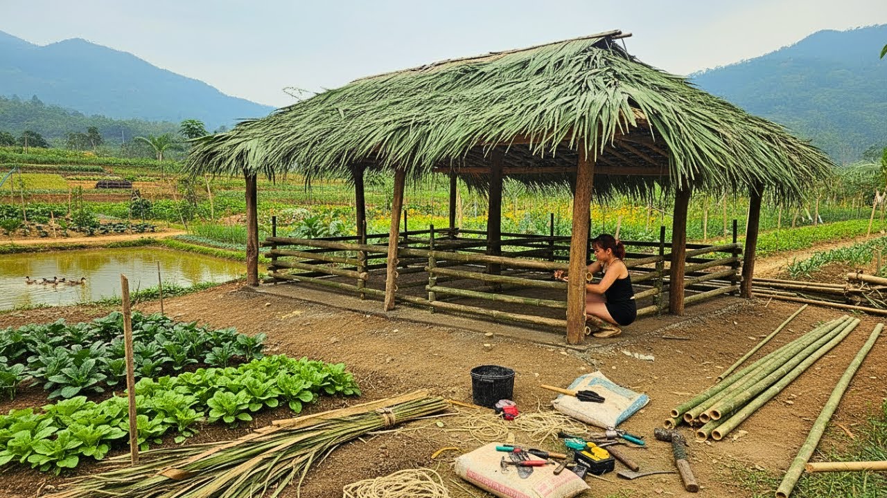 Building A Simple Bamboo Pigsty And Clearing The Hill Behind The House To Plant Trees