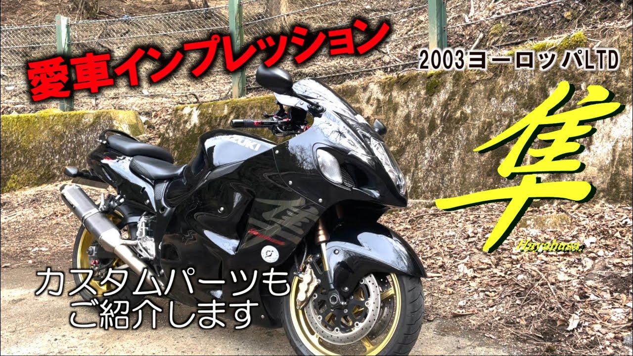 【バイク部】愛車紹介第二段　GSX1300R 隼　2003年ヨーロッパリミテッド　インプレッション