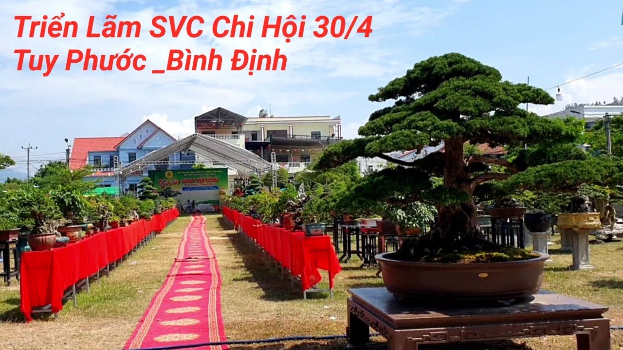 Triển Lãm Sinh Vật Cảnh Chi Hội 30/4...Nhiều BonSai Đẹp Tuy Phước Bình Định.1.