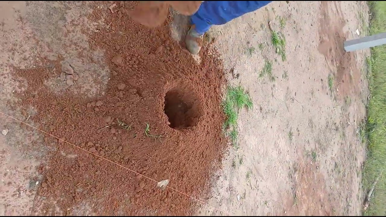 27 de fevereiro de 2026