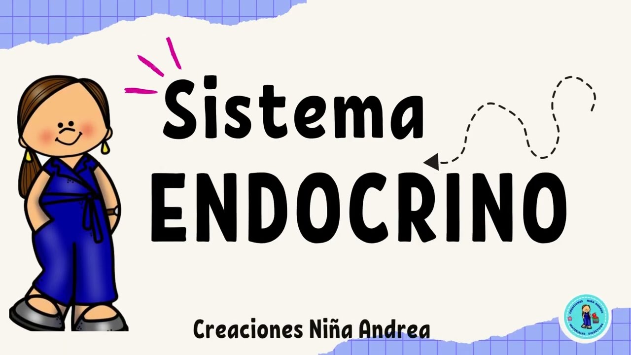 Sistema Endocrino 6°
