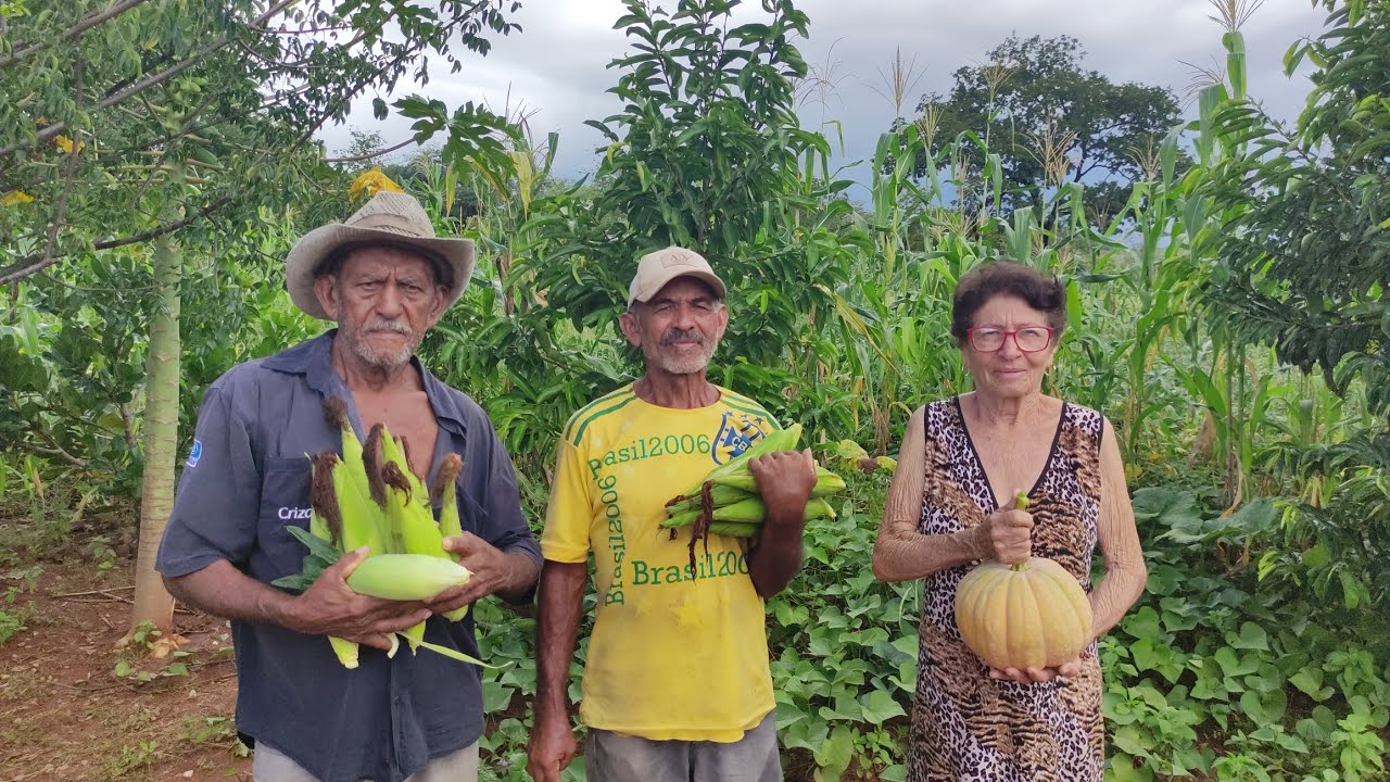 FARTURA NO SERT&Atilde;O PERNAMBUCANO VISITANDO AGRICULTORES NA ZONA RURAL DE SERRA TALHADA PERNAMBUCO.