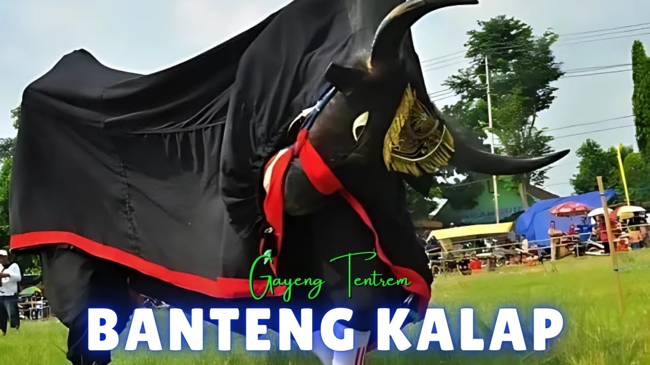 Banteng Kalap - Gayeng Tentrem (Official Music Video ANEKA SAFARI TV)